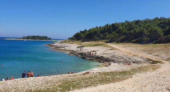 Drazice beach