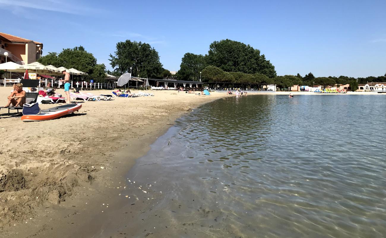 Фото Bijeca beach с светлый песок поверхностью