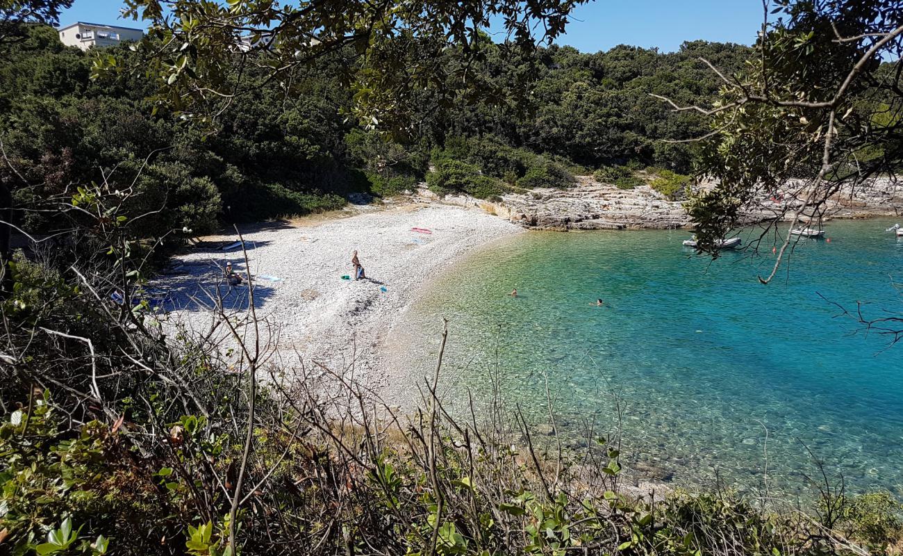 Фото Skrila beach с светлая галька поверхностью