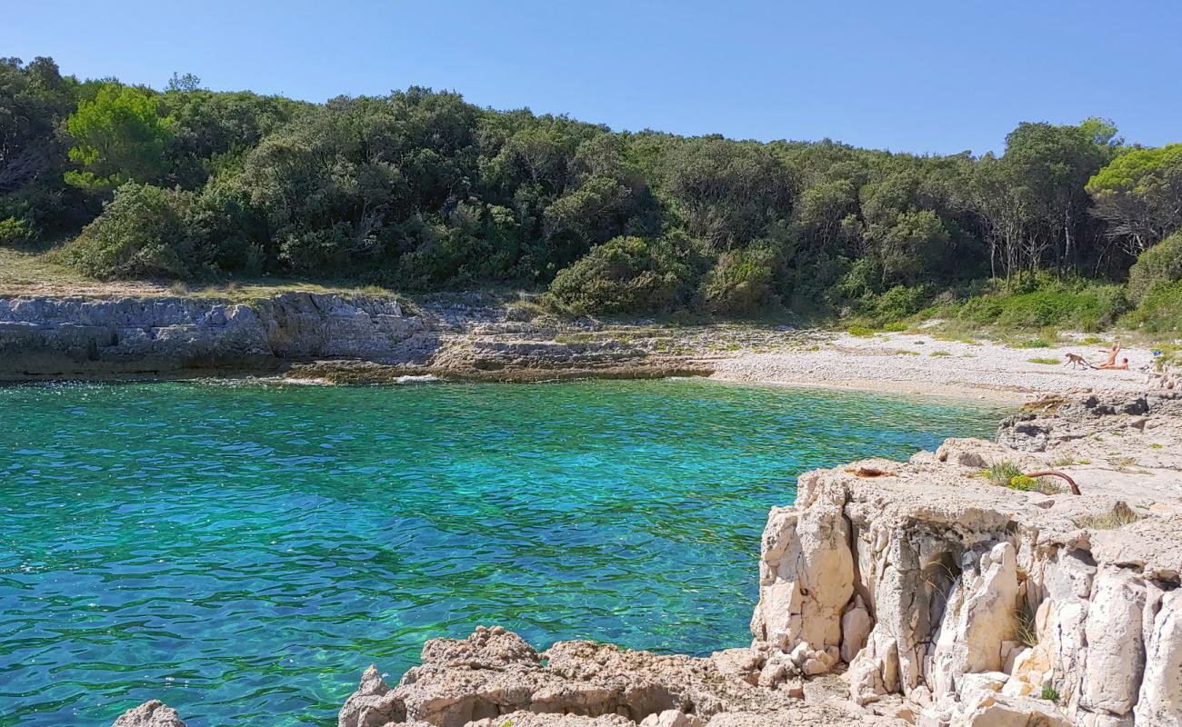 Фото Zaglenicina beach с светлая галька поверхностью