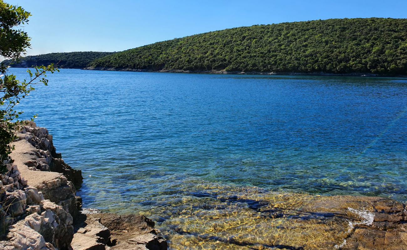 Фото Wild beach с камни поверхностью