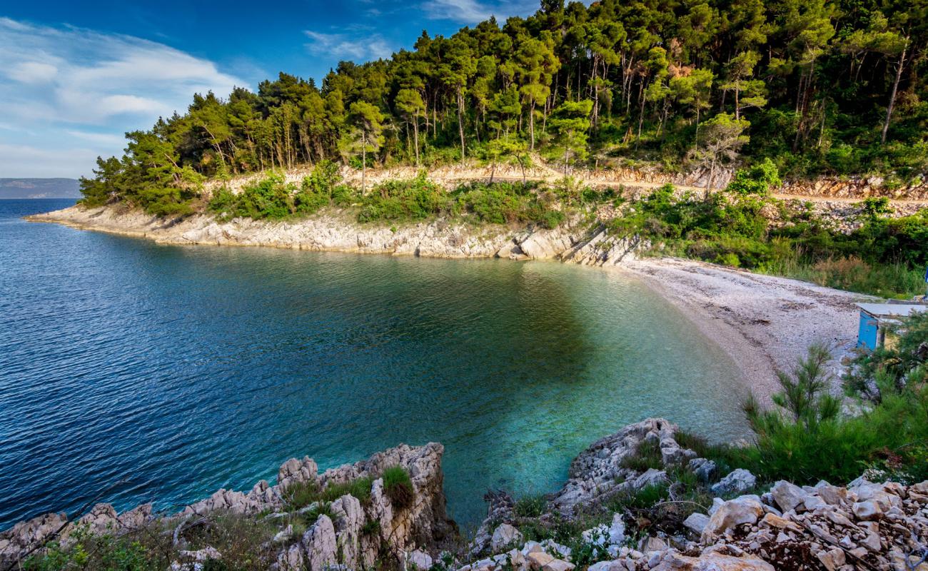 Фото Drenje beach с светлая галька поверхностью