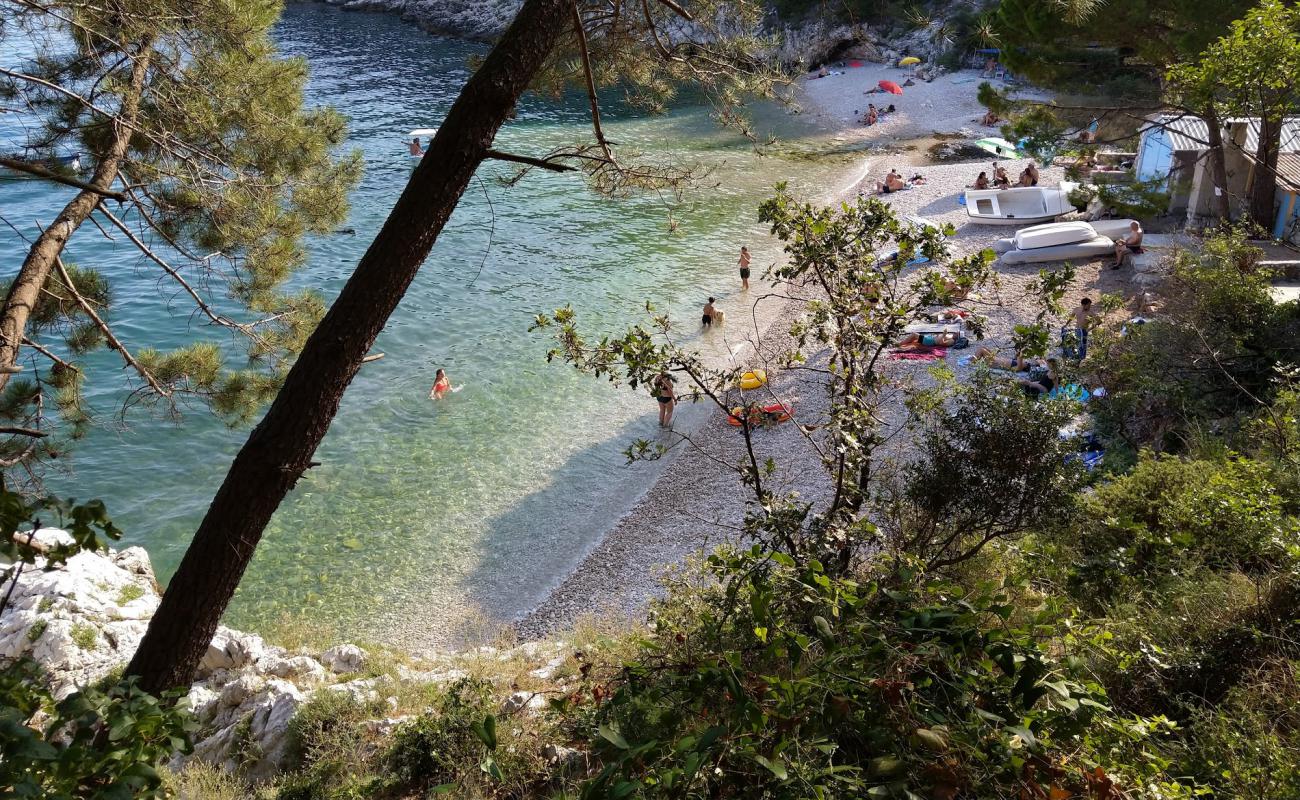 Фото Uboka beach с светлая галька поверхностью