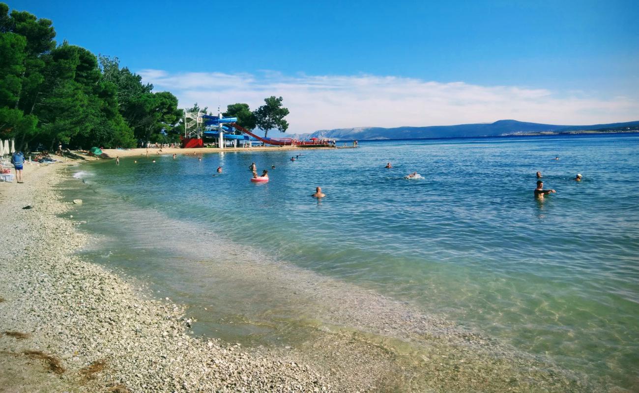 Фото Neptun beach с светлая галька поверхностью