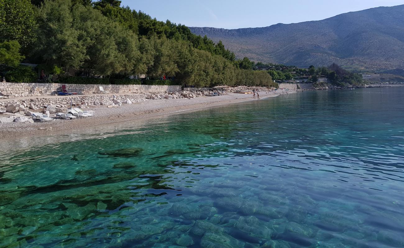 Фото Trstenica II beach с серая чистая галька поверхностью