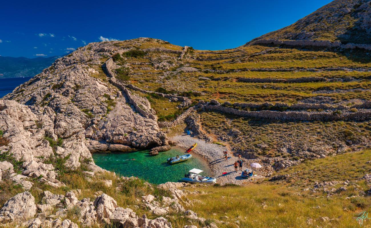 Фото Gnjilova beach с светлая галька поверхностью