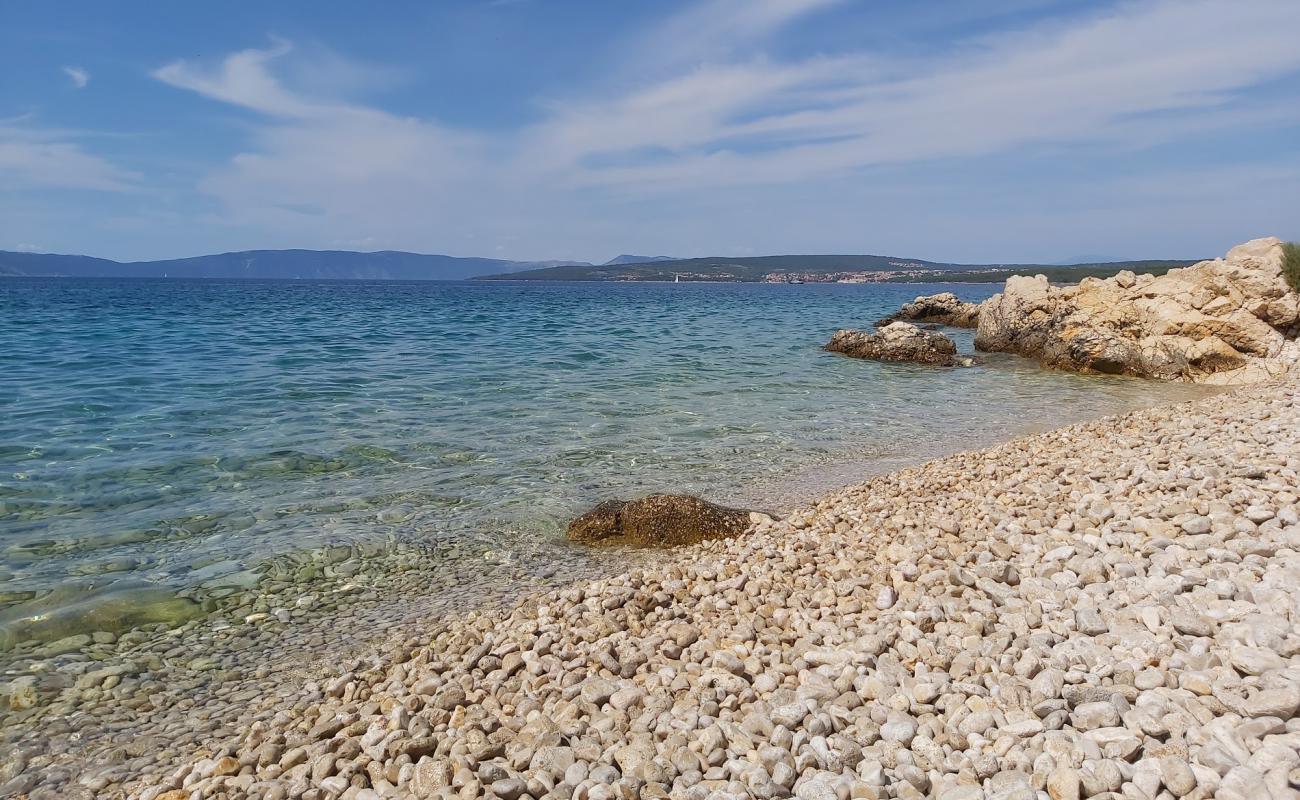 Фото Dogs beach с светлая галька поверхностью