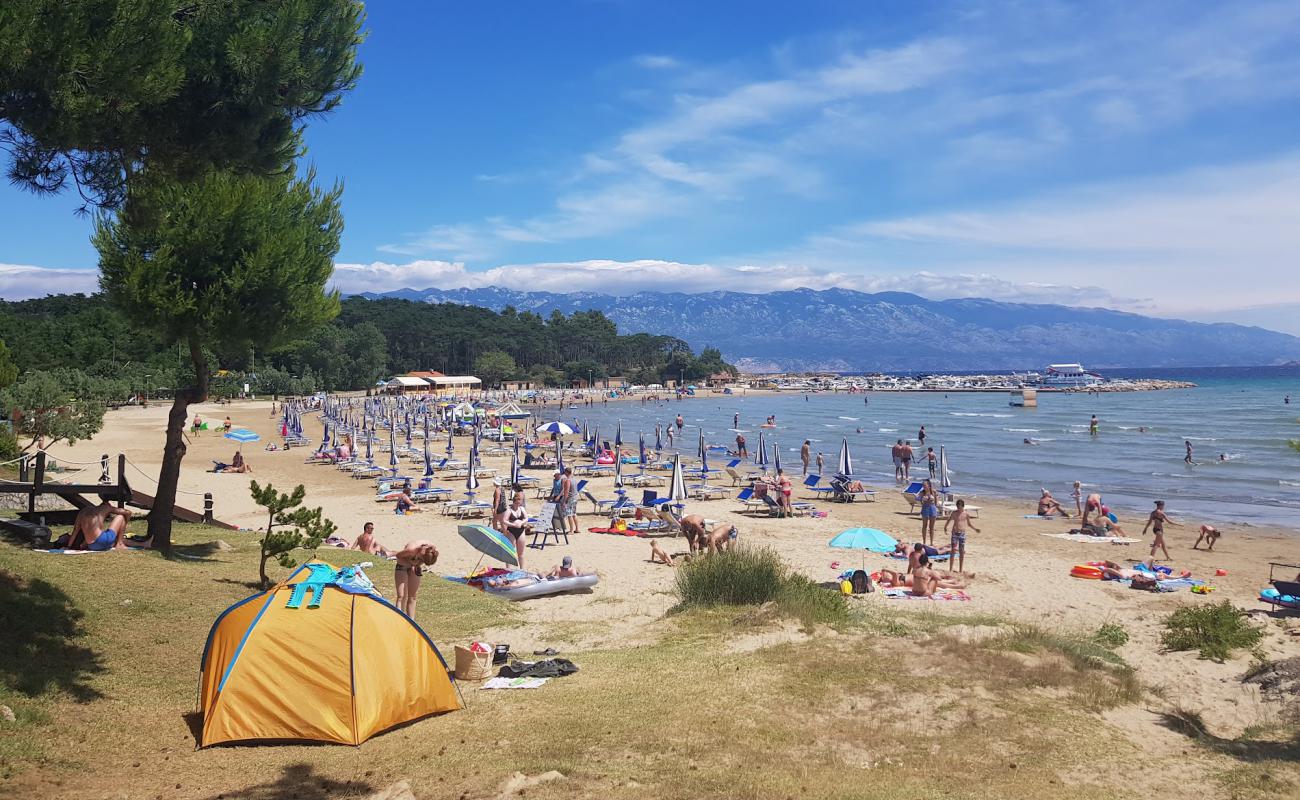 Фото San Marino beach с золотистый песок поверхностью