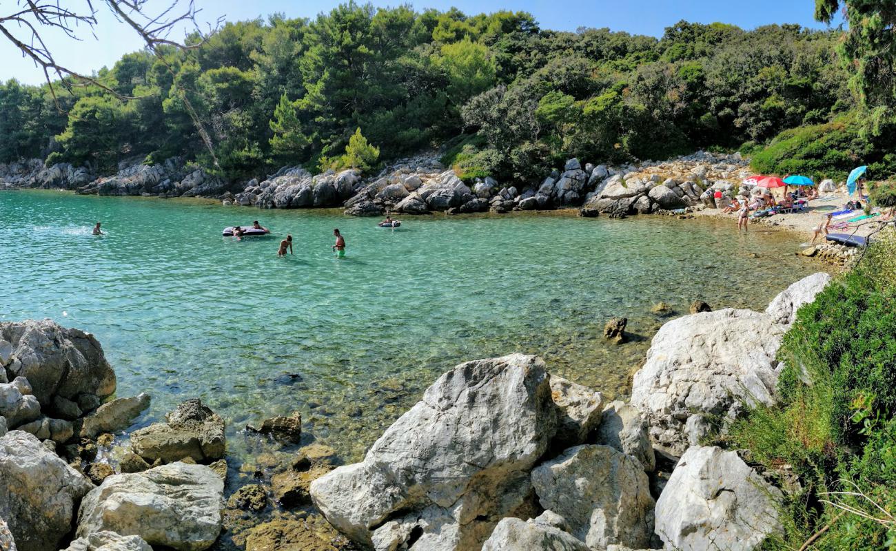 Фото Jelenovica beach с камни поверхностью