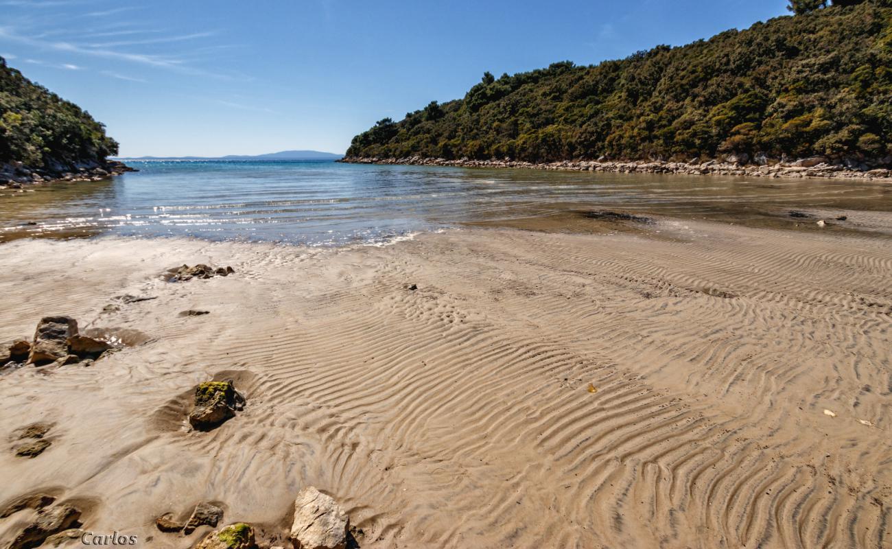 Фото Valsika beach с песок с камнями поверхностью