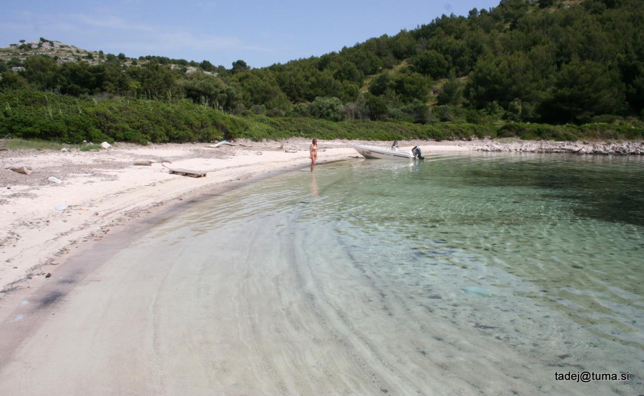 Фото Lojisce beach с светлый песок поверхностью