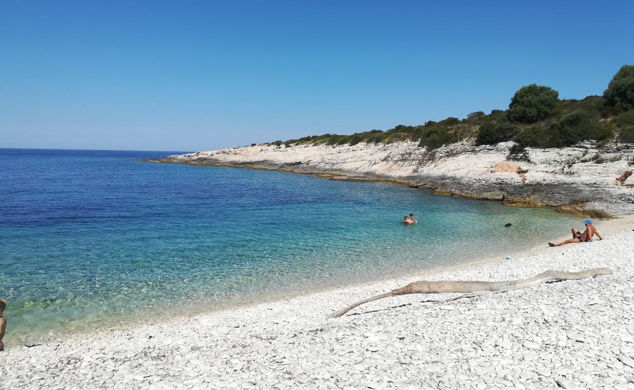 Фото Prasna beach с белая галька поверхностью