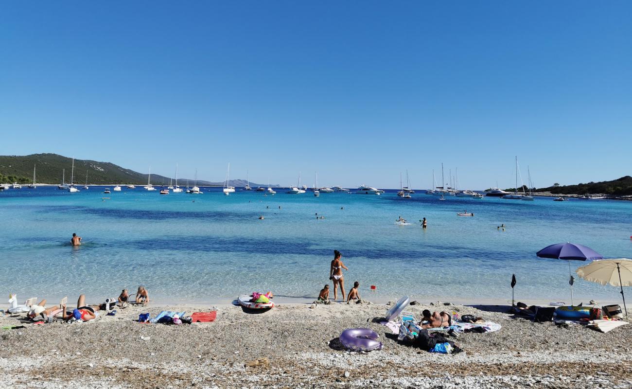 Фото Sakarun beach с светлая галька поверхностью