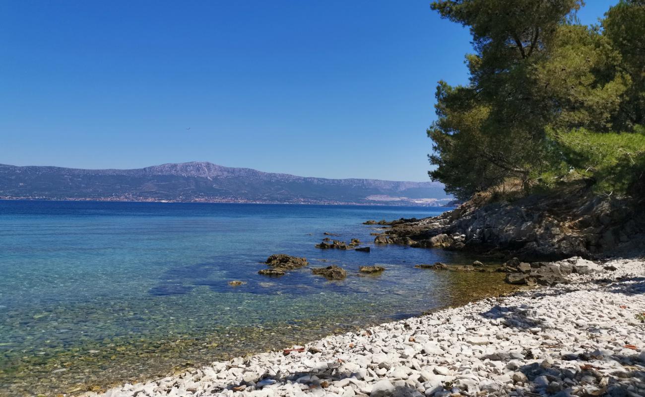 Фото Dimitry beach с светлая галька поверхностью