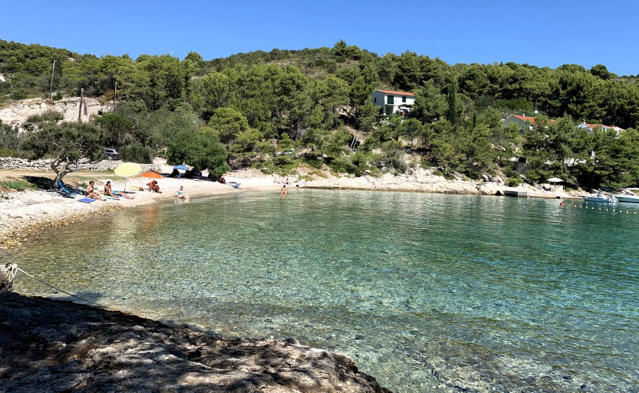 Фото Gornja Krusica beach с светлая галька поверхностью