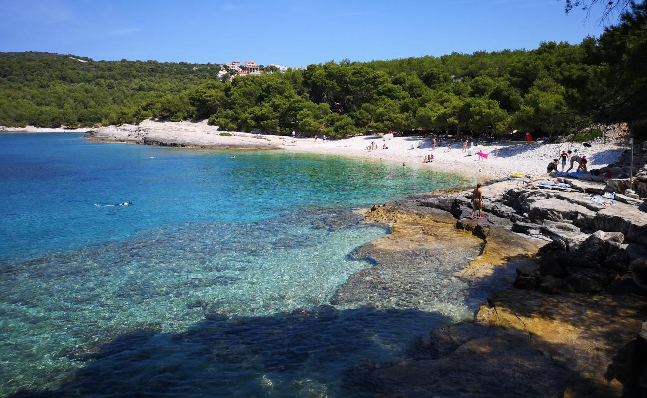 Фото Srebrna beach с светлая галька поверхностью