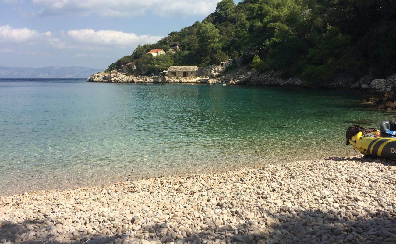 Фото Zecja beach с светлая галька поверхностью