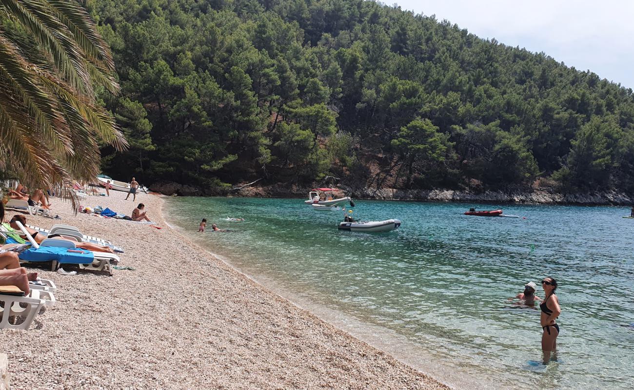 Фото Smokvina beach с светлая галька поверхностью