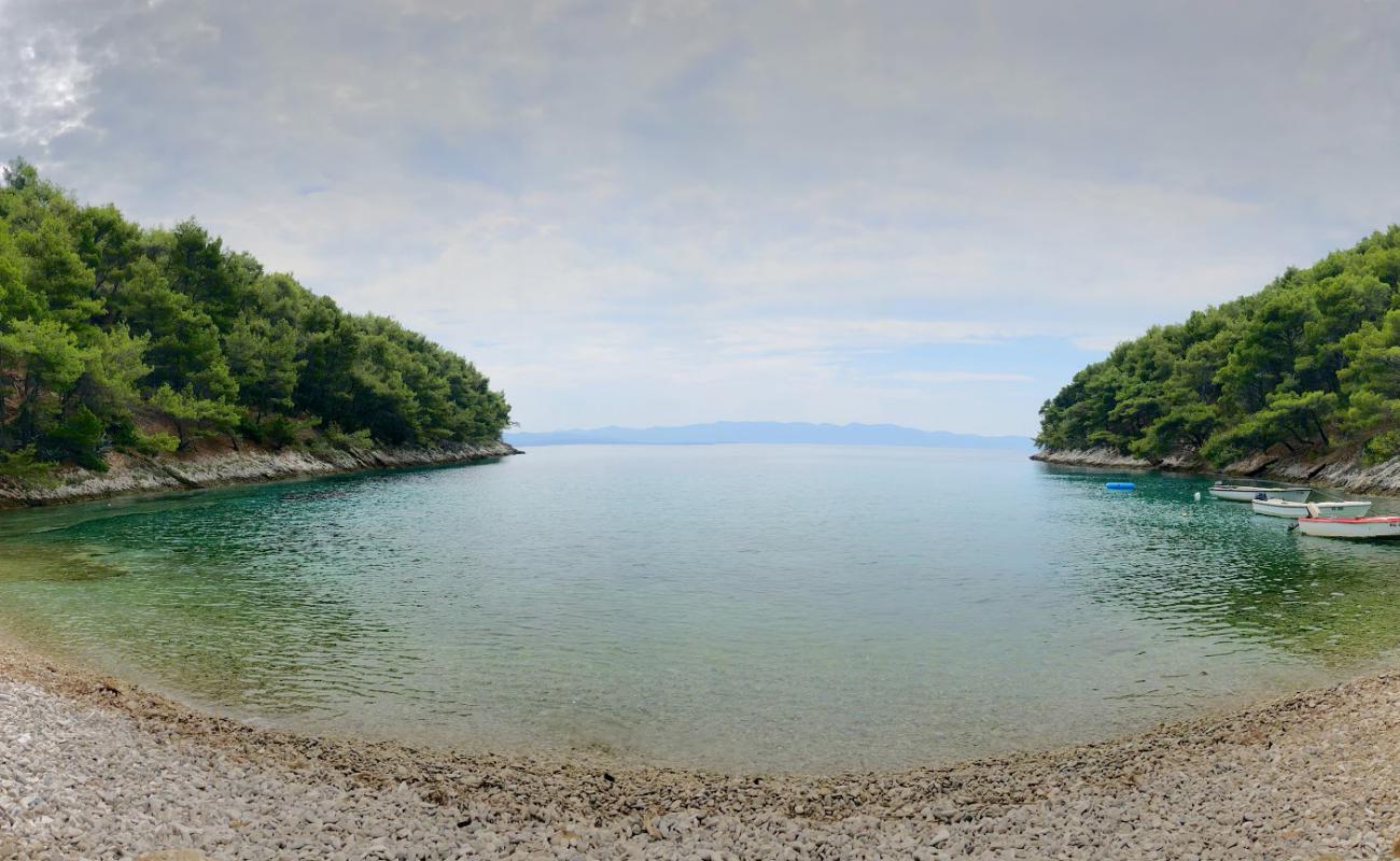 Фото Velika Uvala beach с светлая галька поверхностью