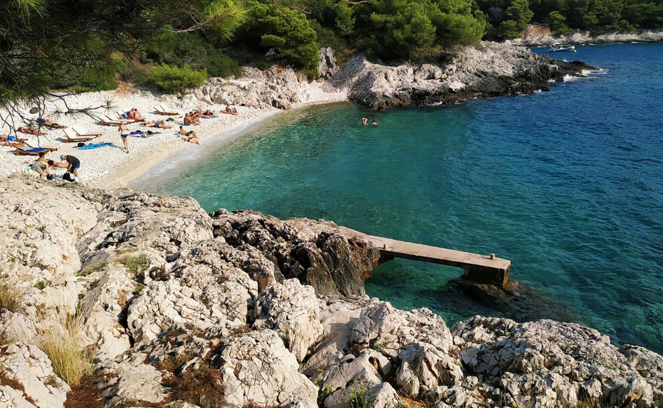 Фото Mekicevica beach с белая галька поверхностью