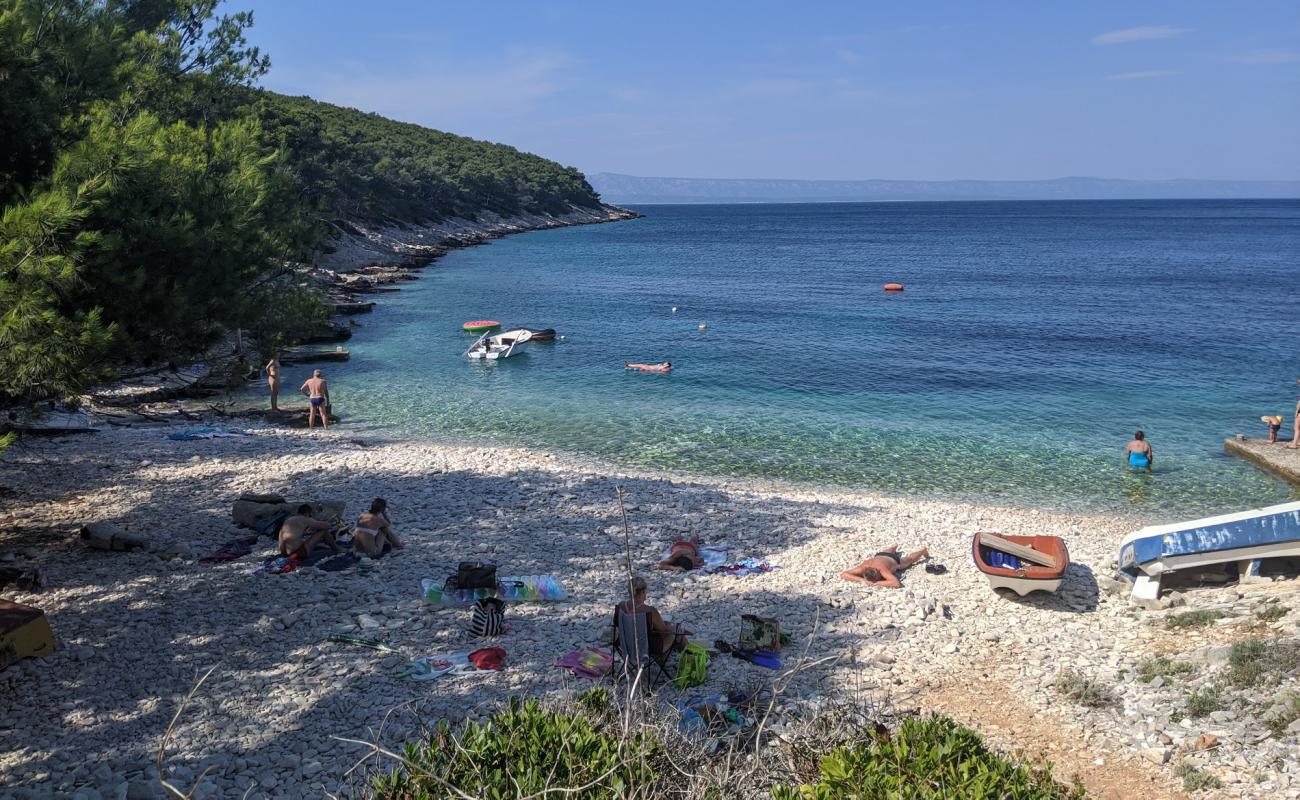 Фото Meduza beach с белая галька поверхностью