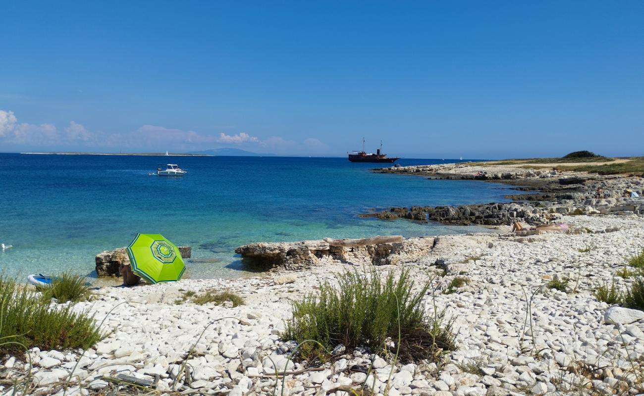 Фото Skara Beach с камни поверхностью