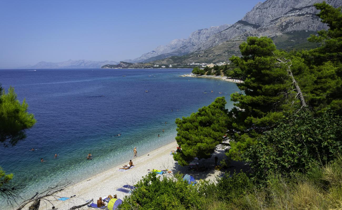 Фото Dracevac Beach с светлая галька поверхностью