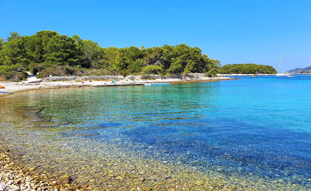 Фото Mlini Beach с камни поверхностью