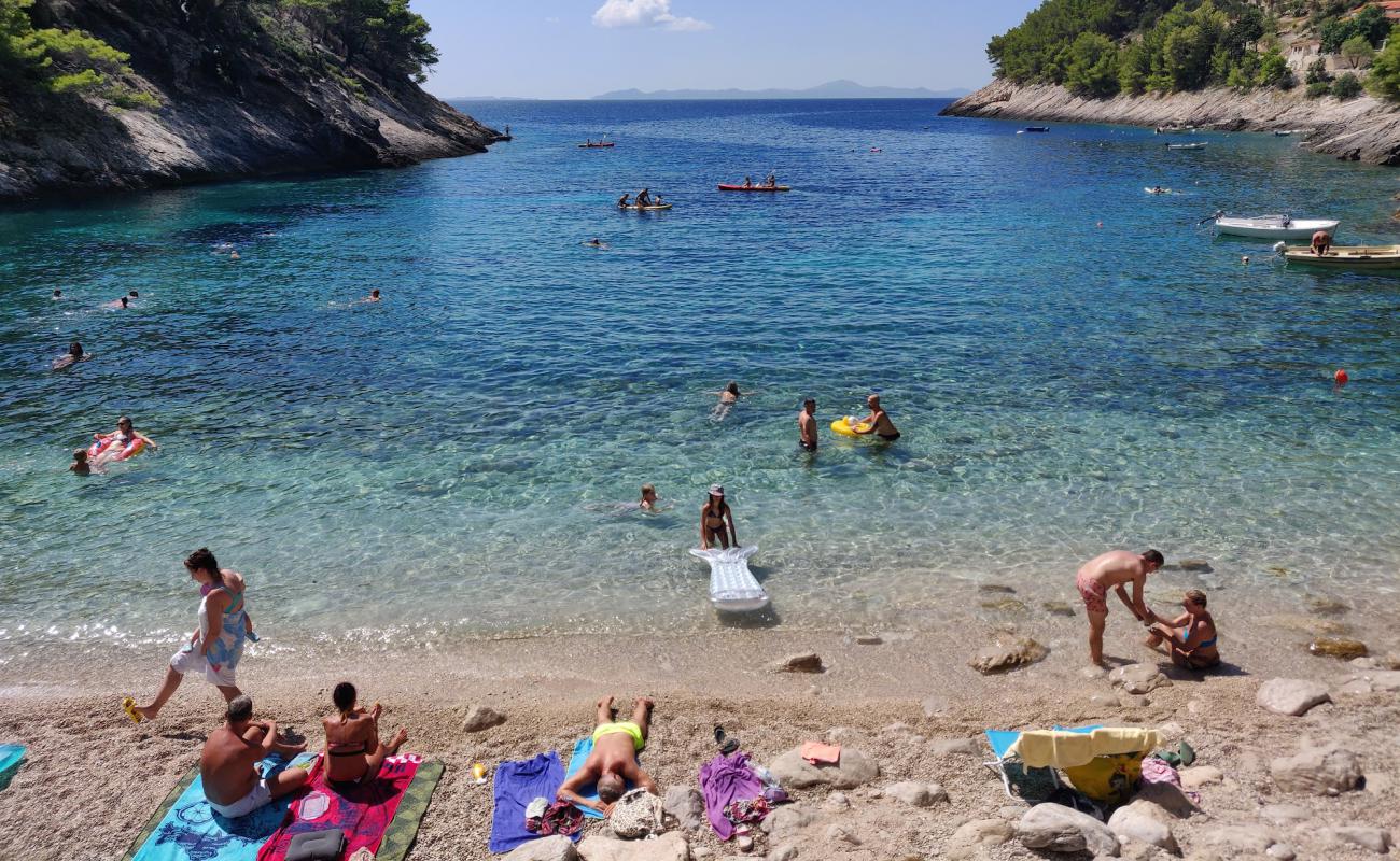 Фото Bacva Beach с белая чистая галька поверхностью