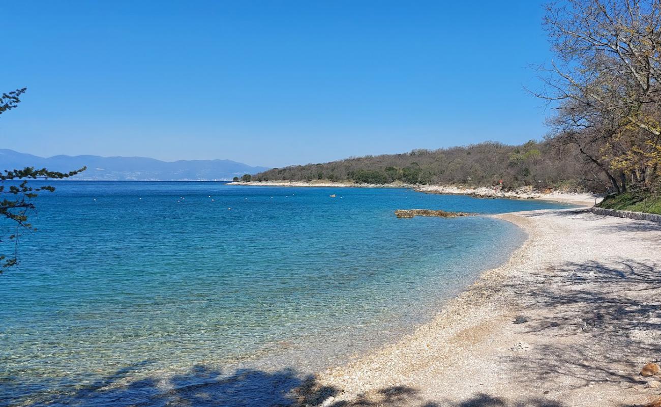 Фото Dog Beach Atea Camping с серая галька поверхностью