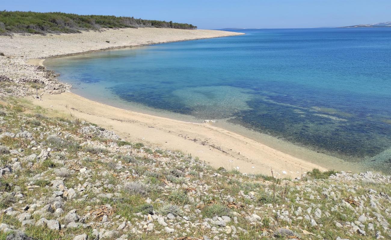 Фото Povljana Naturist Beach с светлый песок поверхностью