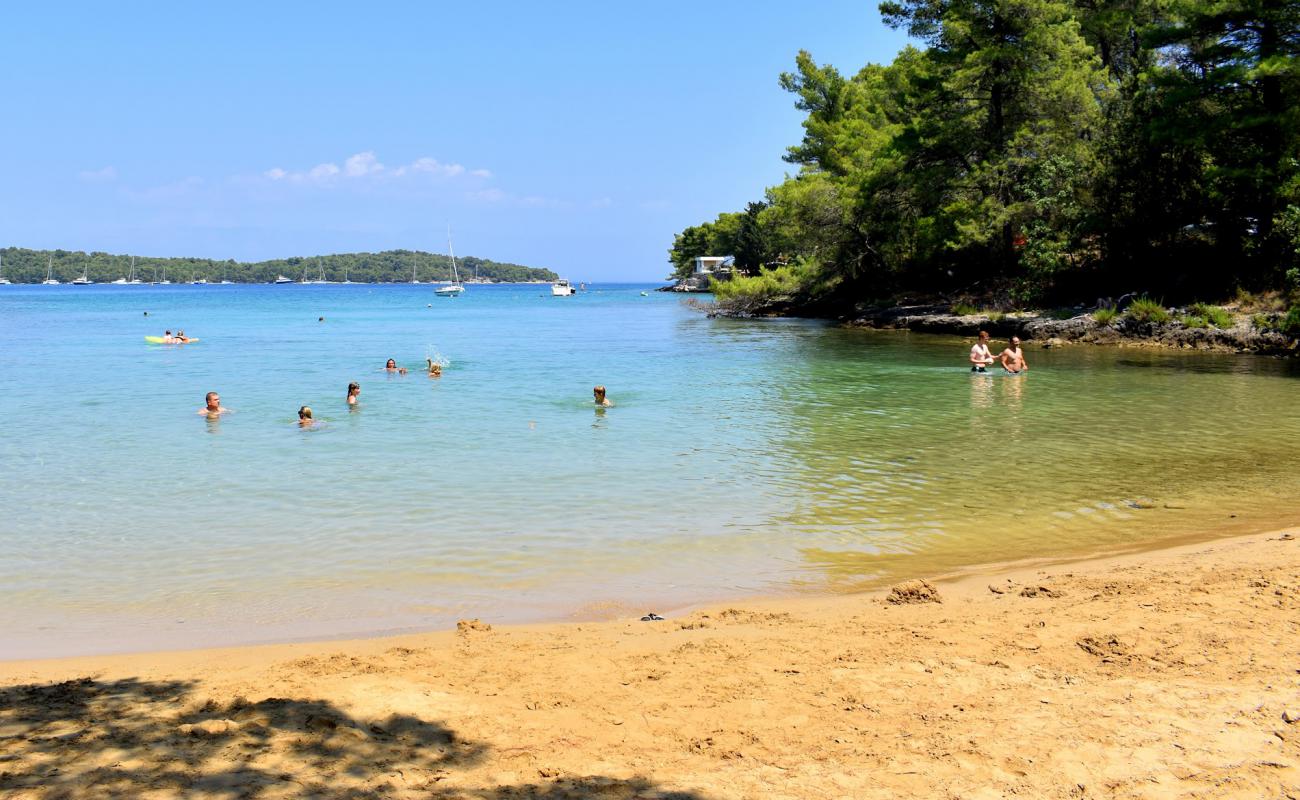 Фото Sandy Beach, Vitarnja с светлый песок поверхностью