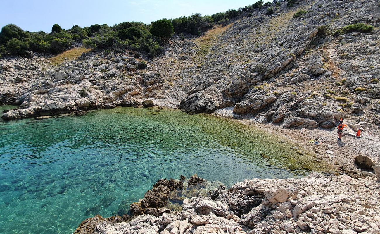 Фото Vela Draga Beach с светлая галька поверхностью