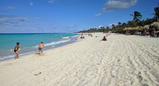 Varadero beach III