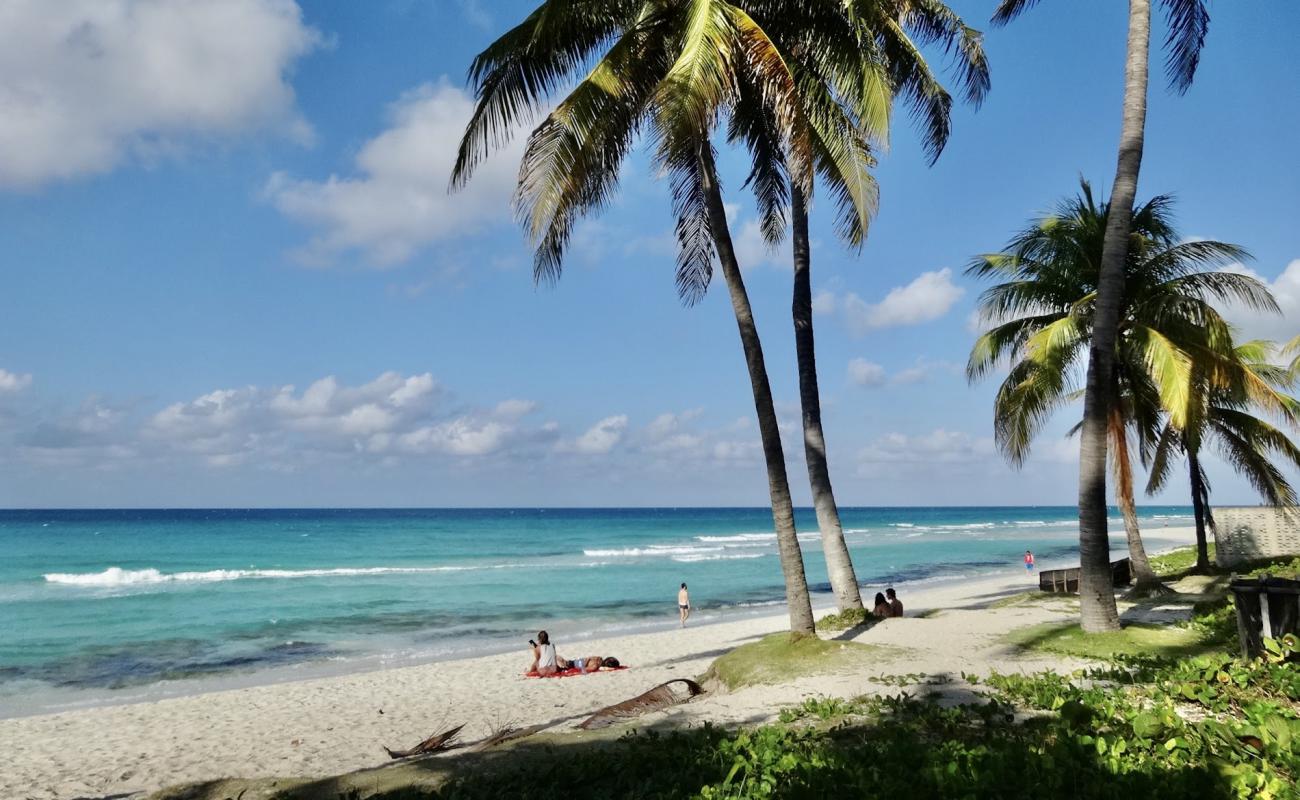 Фото Playa Varadero II с золотистый песок поверхностью