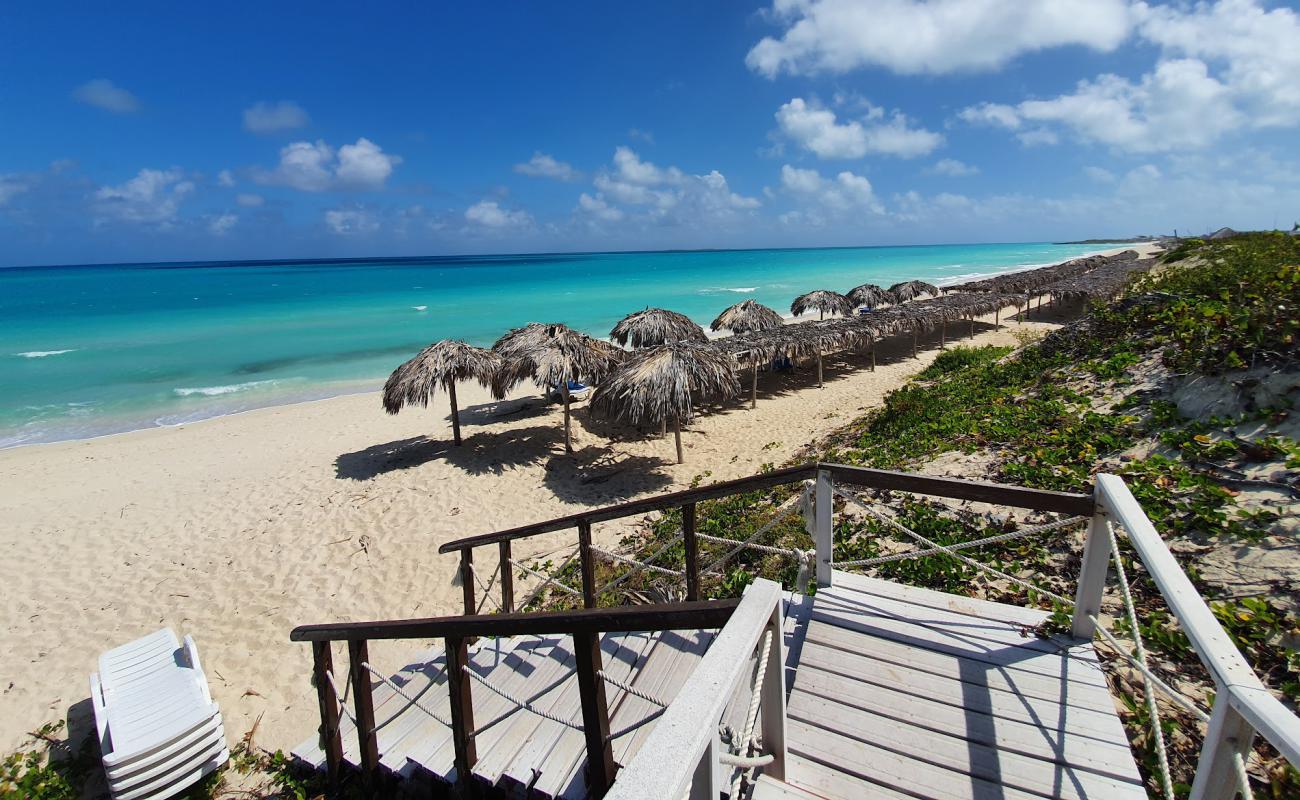 Фото Cayo Santa Maria III с золотистый песок поверхностью