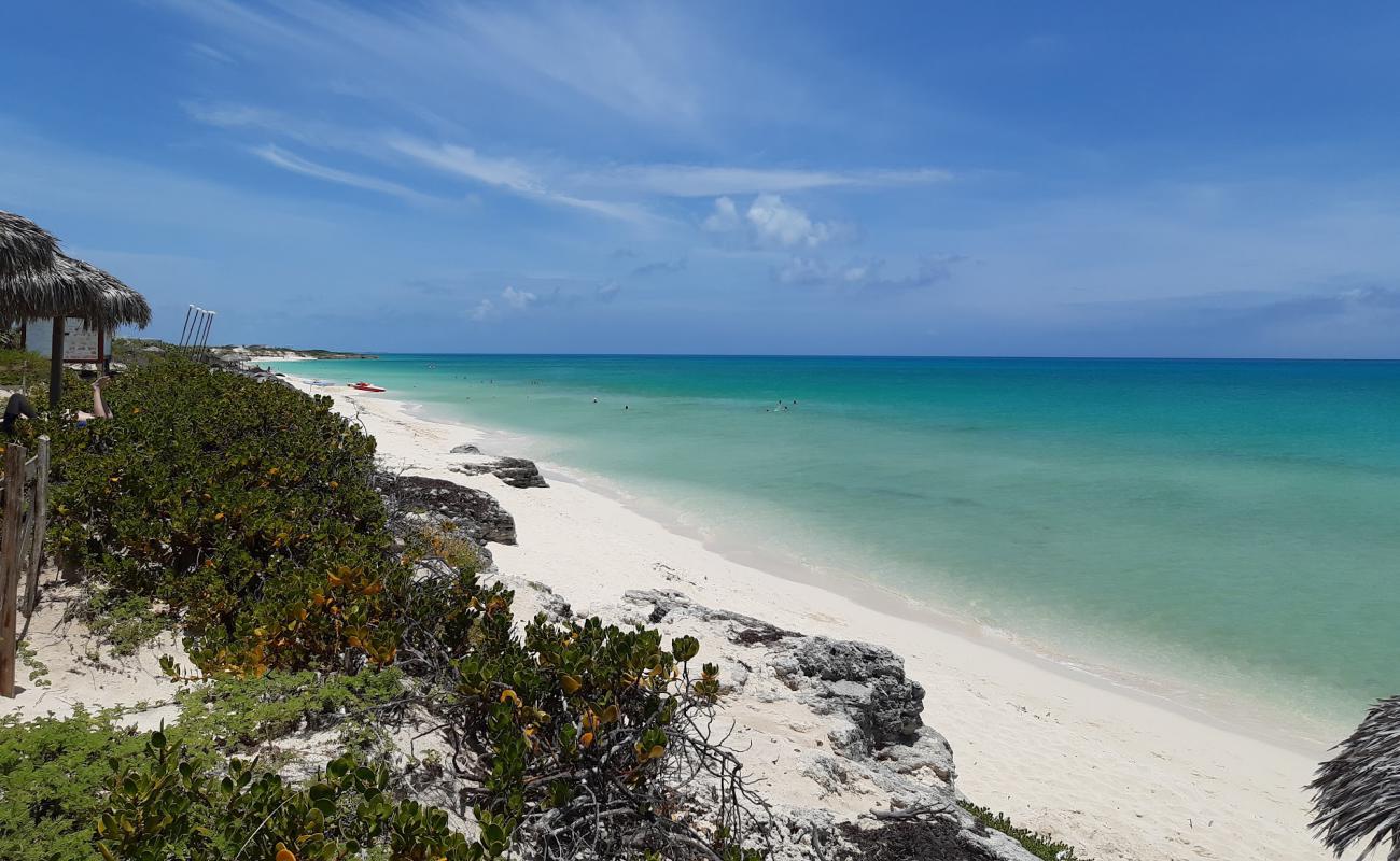 Фото Playa Santa Maria V с золотистый песок поверхностью