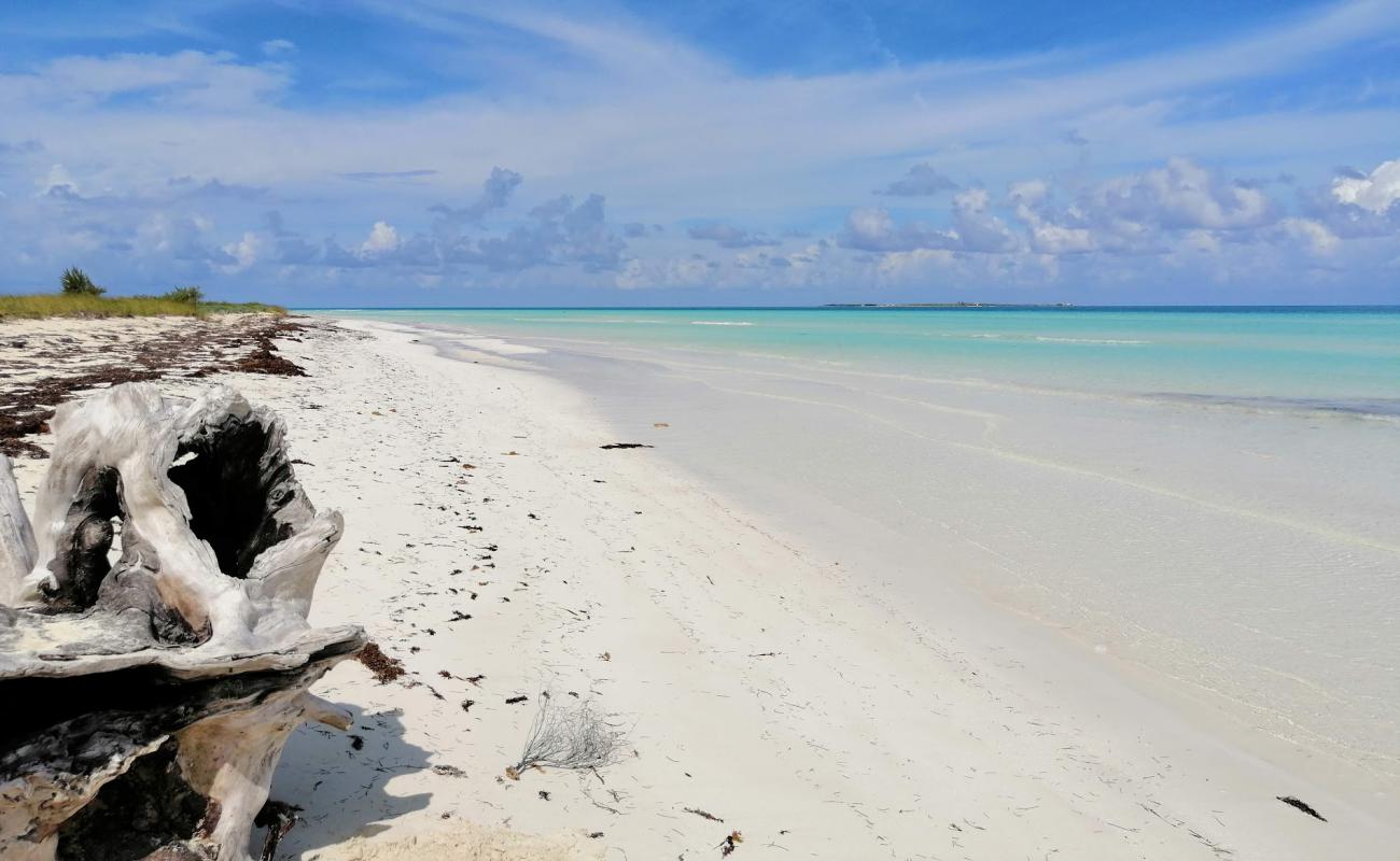 Фото Playa Las Gaviotas с белый чистый песок поверхностью