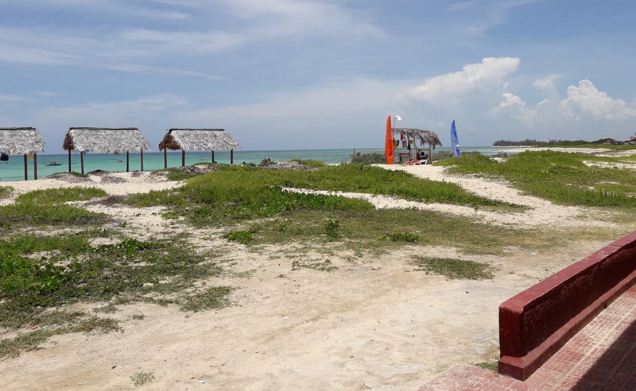 Фото Playa Punta De Ganado с светлый песок поверхностью