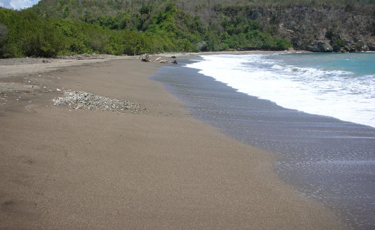 Фото Playa Toro с светлый песок поверхностью