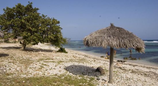 Playa de Americanas