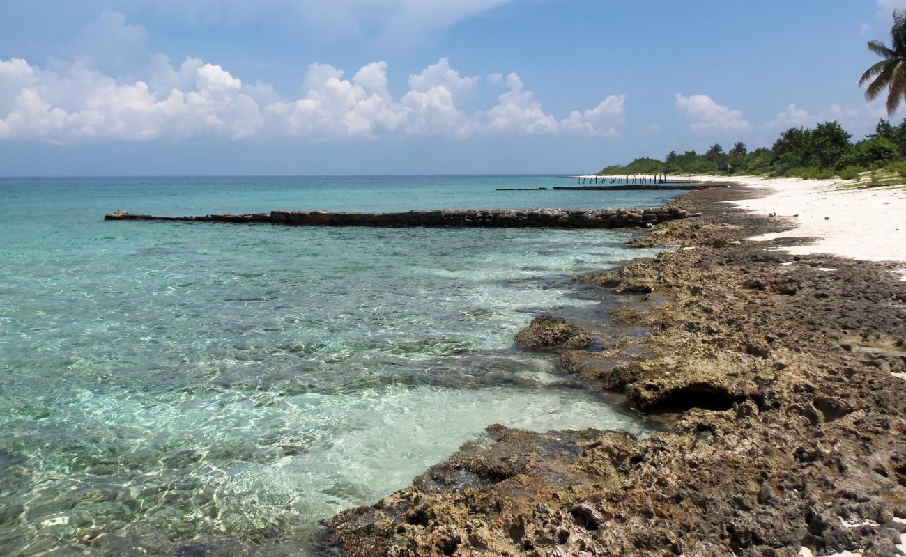 Фото Playa Maria La Gorda с песок с камнями поверхностью