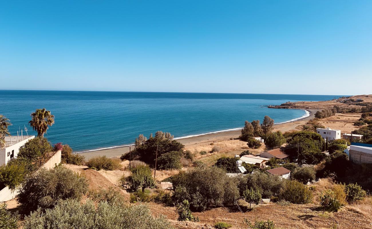 Фото Pachiammos beach с серый песок поверхностью