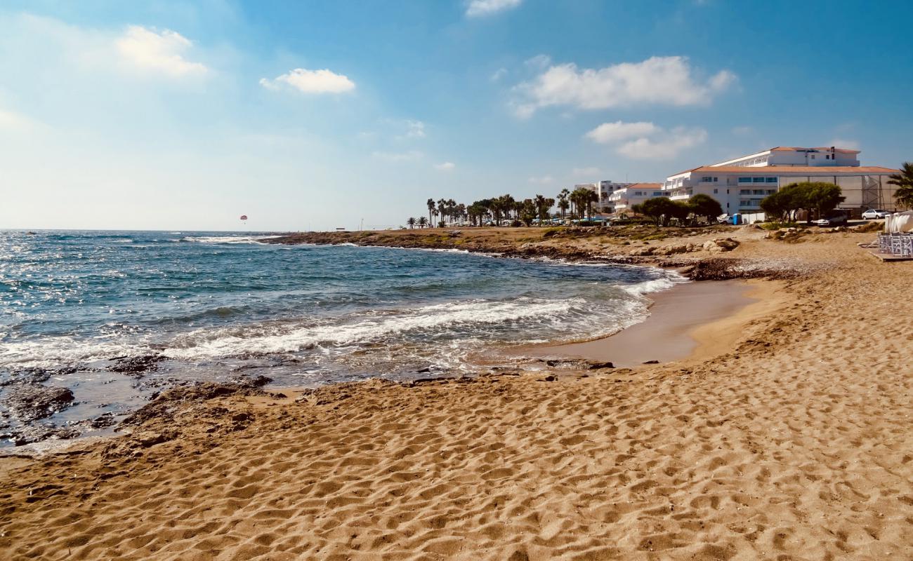 Фото Pachyammos beach с светлый песок поверхностью