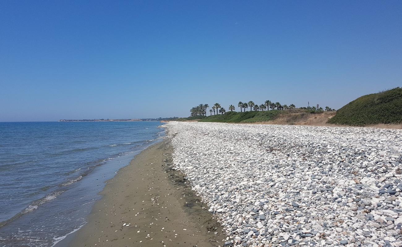 Фото Mazotos beach с светлый песок поверхностью