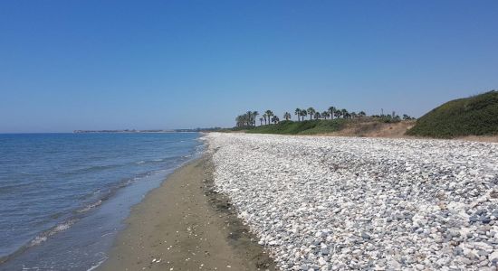 Mazotos beach