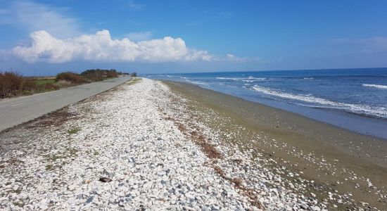 Larnaka beach