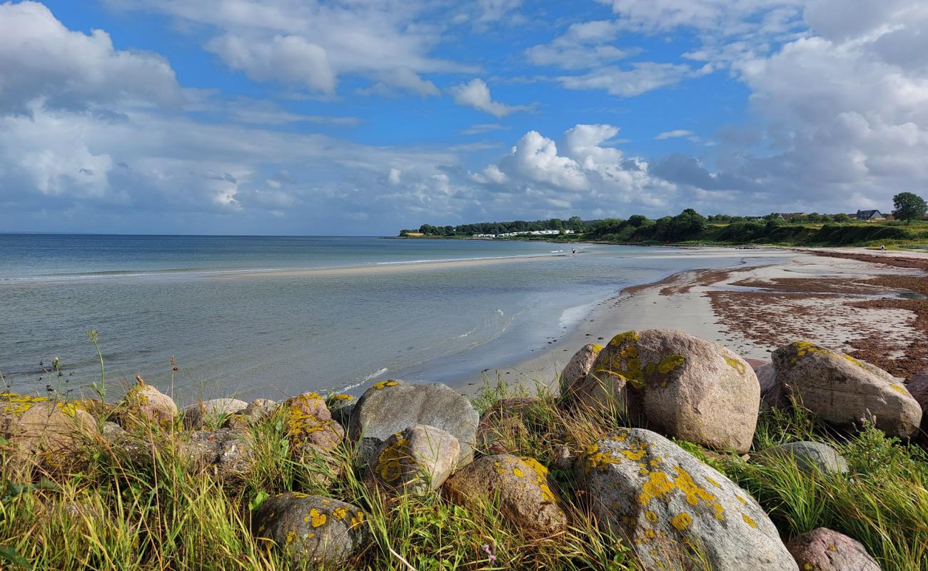 Фото Fynshav Beach с светлый песок поверхностью