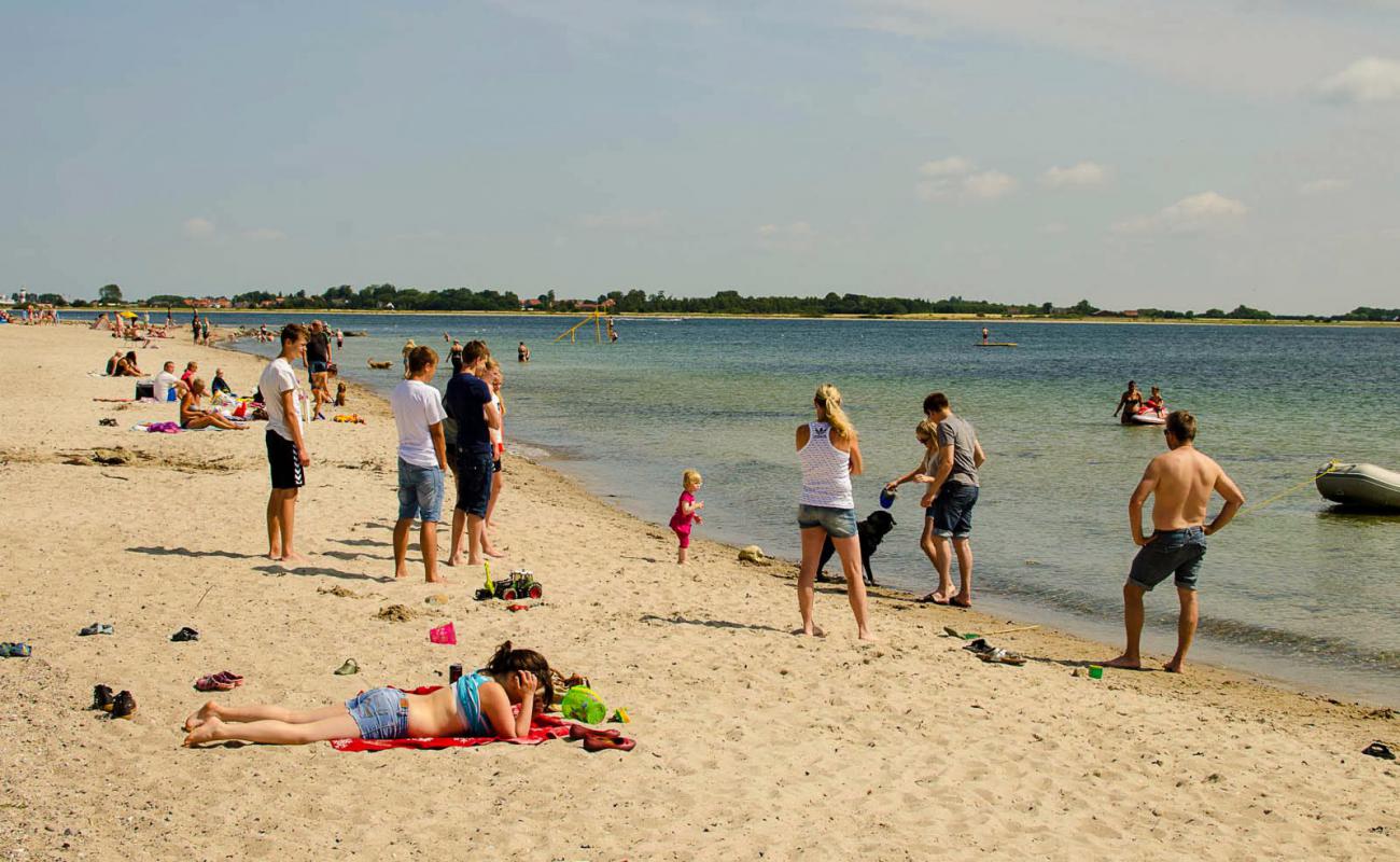 Фото Gammelbro Beach с светлый песок поверхностью