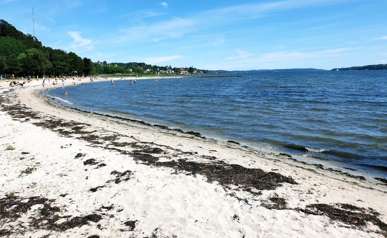 Фото Albuen Beach с светлый песок поверхностью